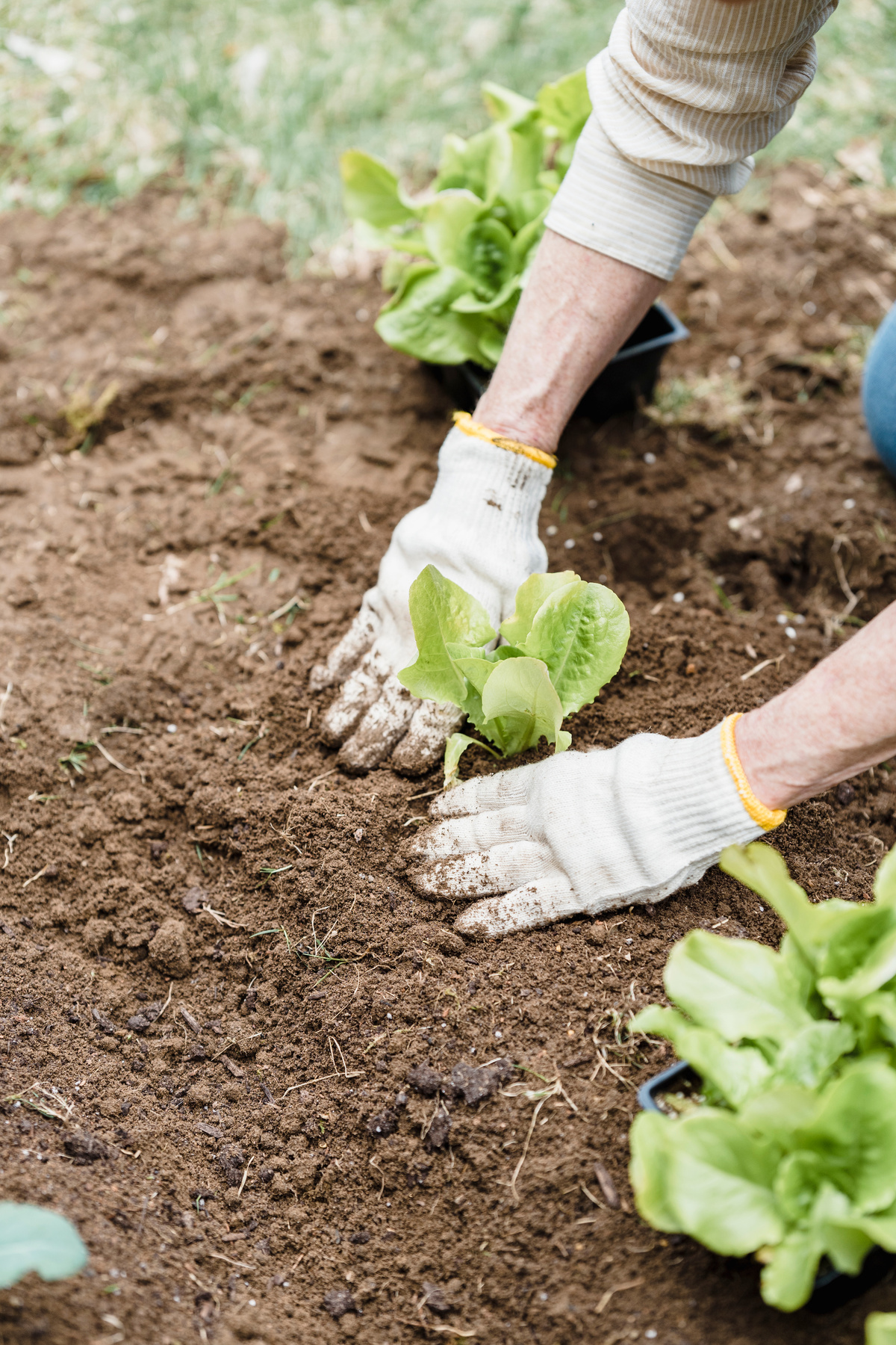 Crop person in gloves working in garden