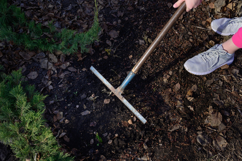 A woman removes garbage with a garden rake